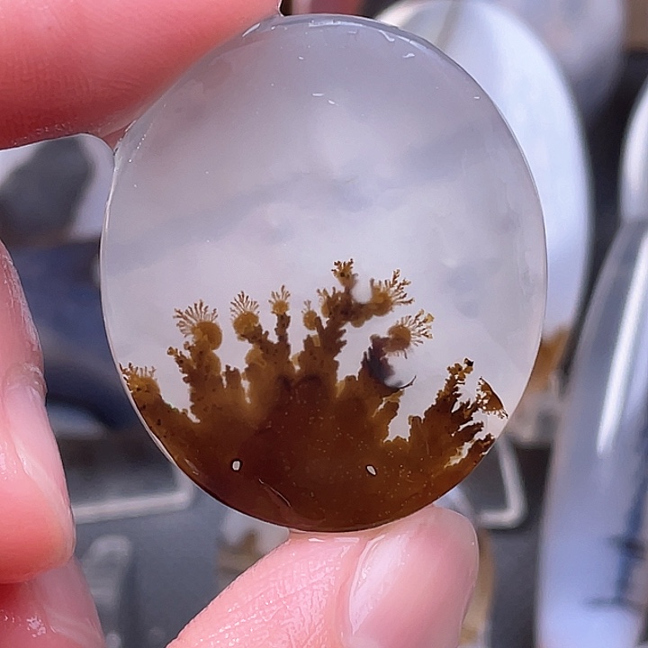 玛瑙/玉髓吊坠(不含链)未镶嵌