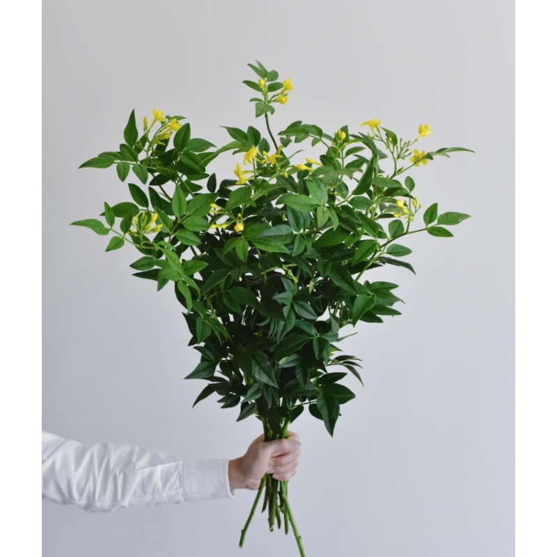 【九星叶】顺丰保障|全店2单鲜花赠云南墨红玫瑰花茶