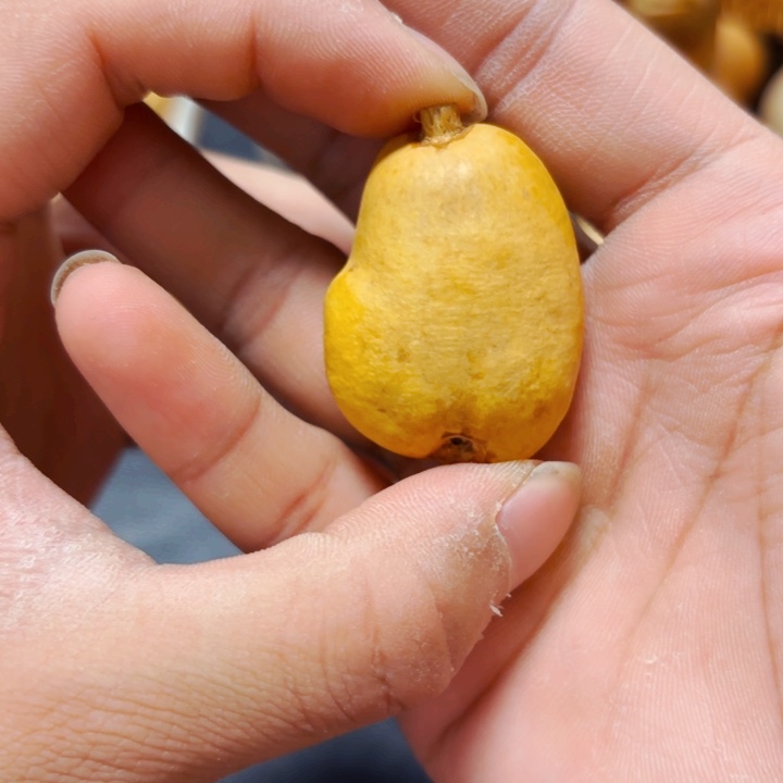 A****姐88888888888888888888