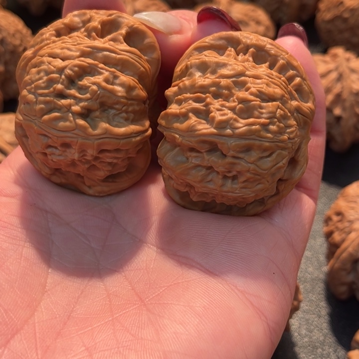 把件文玩核桃白狮子