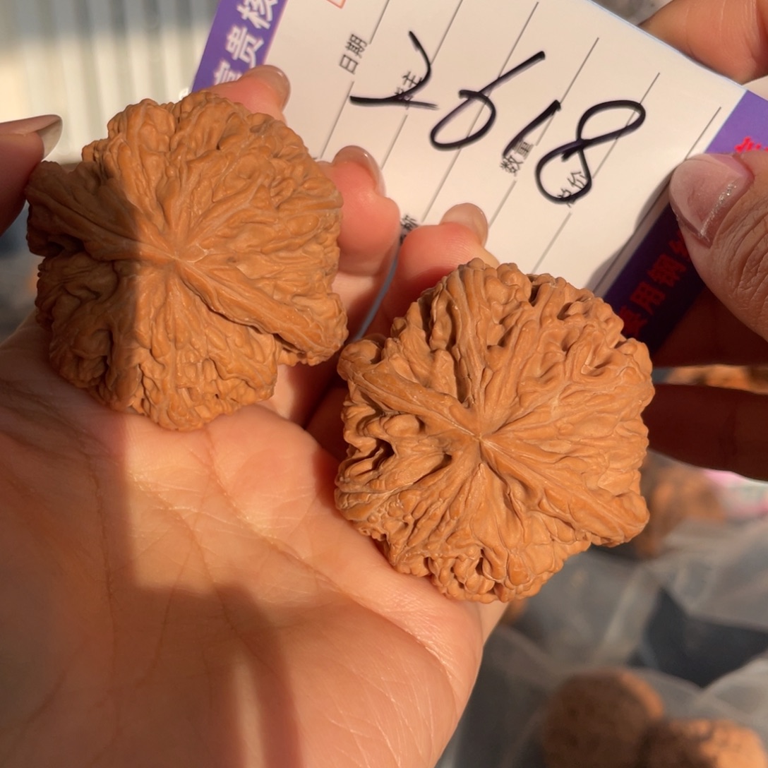 阿***臻核桃把件49棉一点球筋大克重中桩粗筋