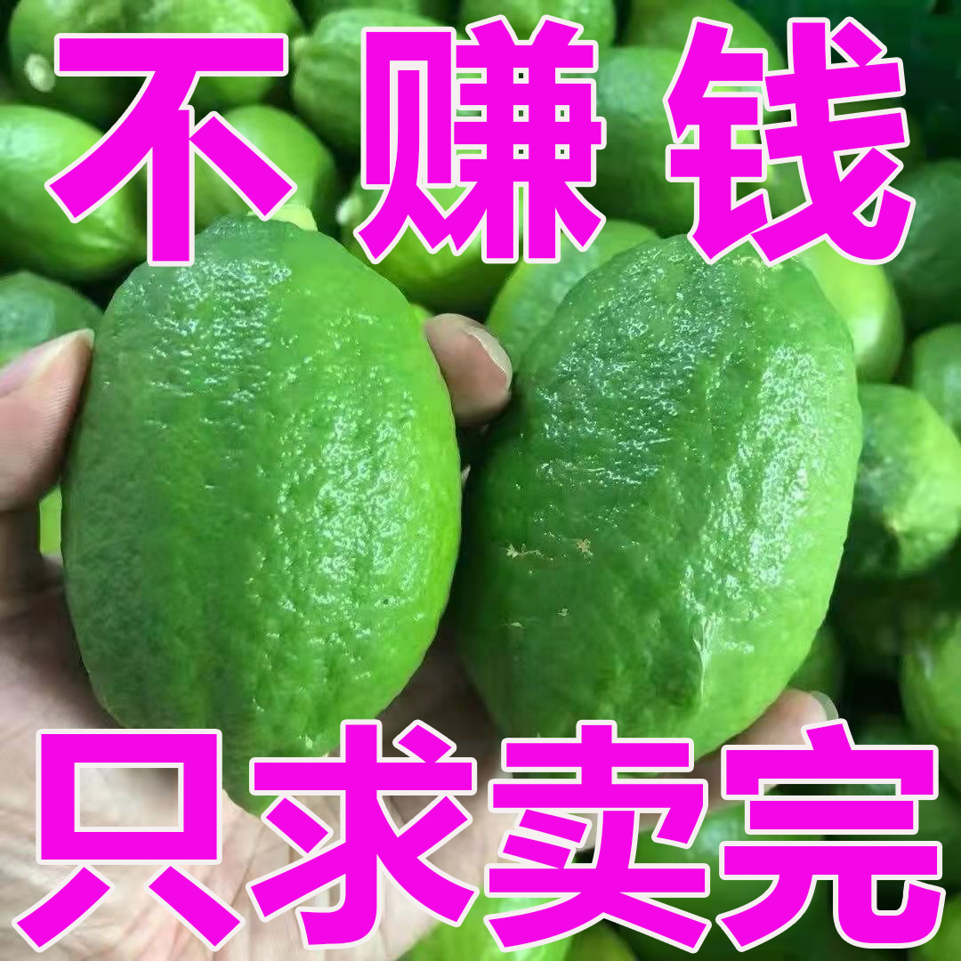 【二级果】广东香水柠檬新鲜大果应季水果无籽多汁青柠檬奶茶店专用