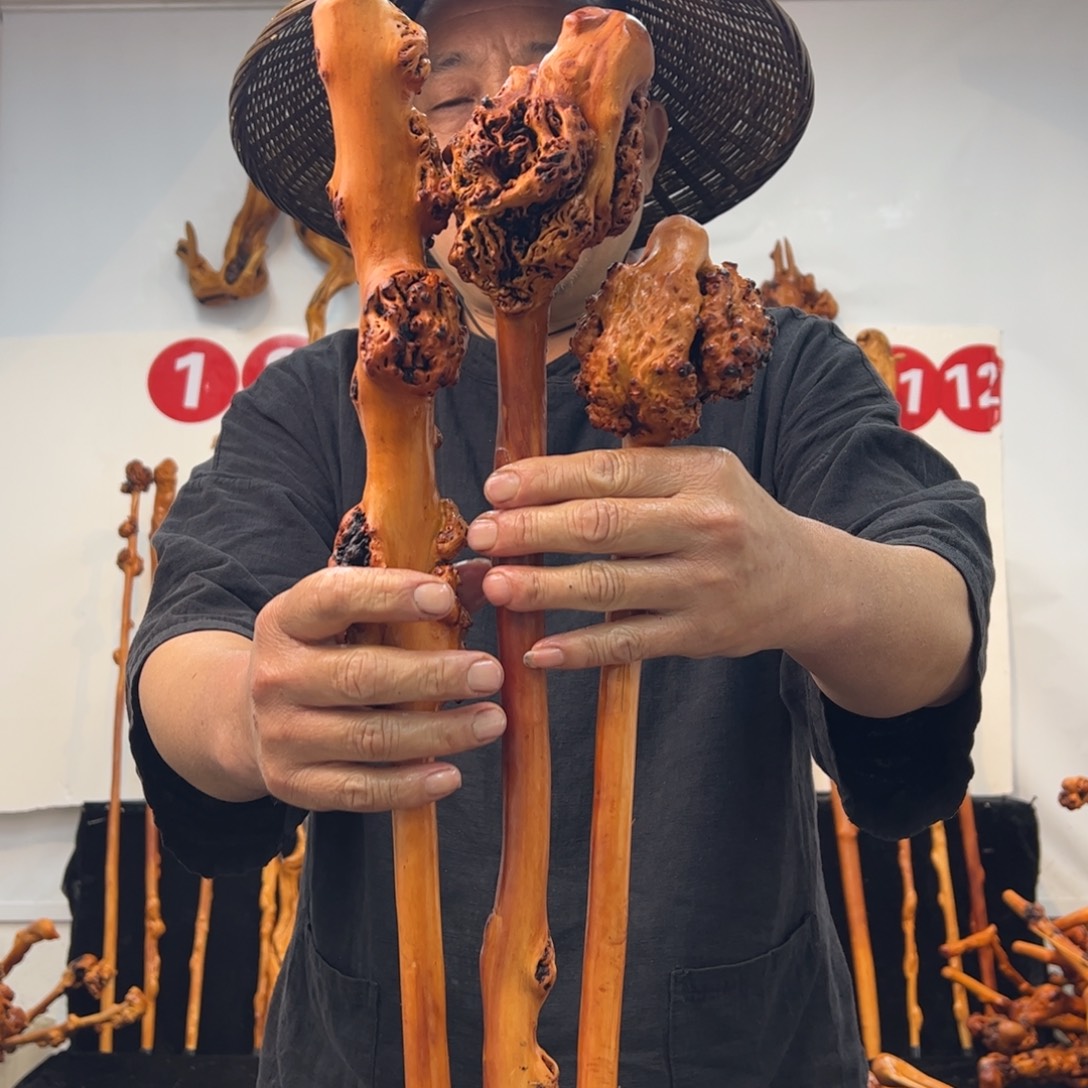 其他黑果木黑果木965