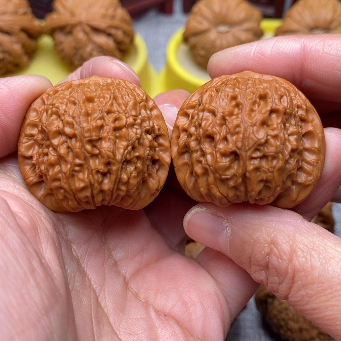 文玩核桃把件全品毕业绝配血麒麟36尺