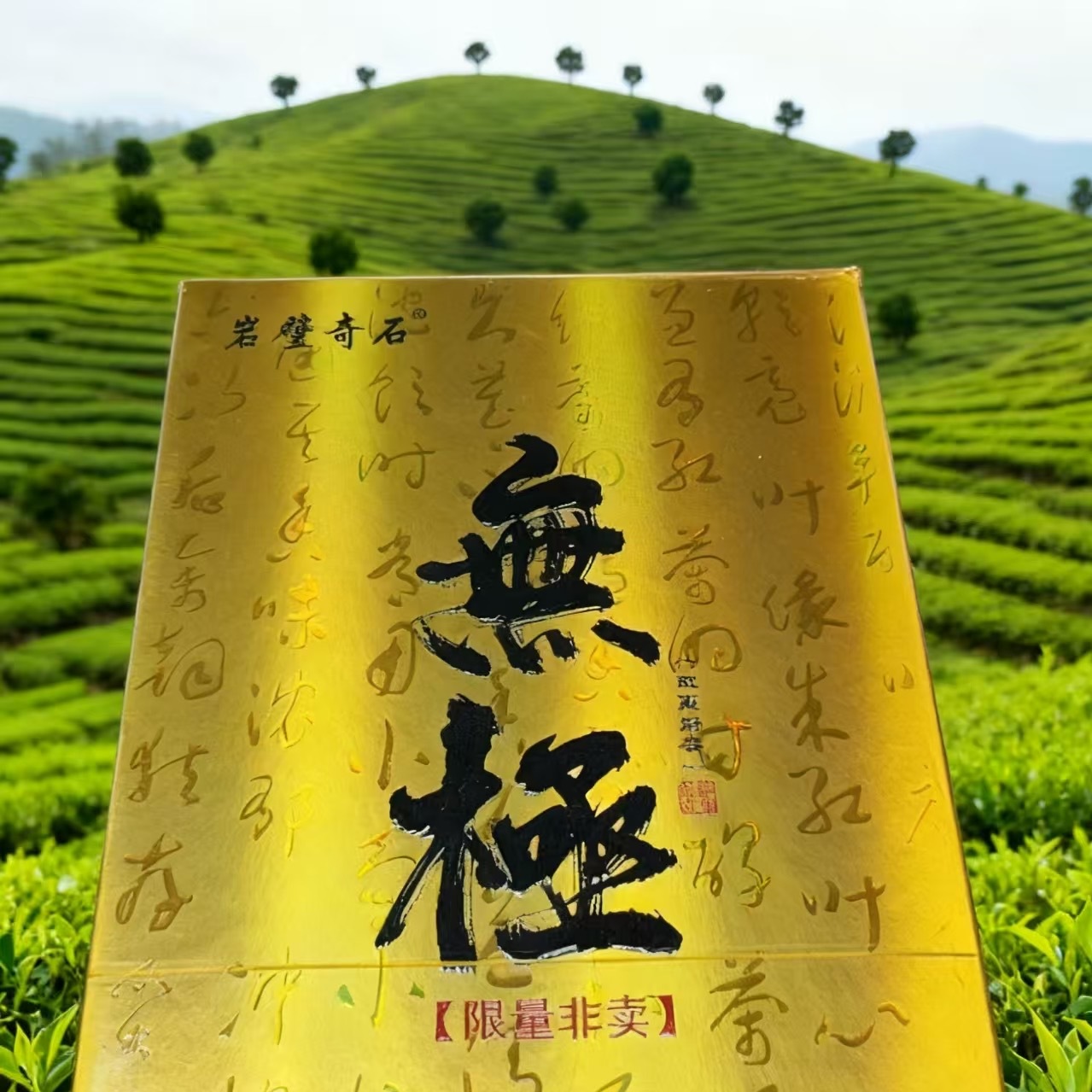 岩壁奇石（无极）肉桂 8.5克*4泡