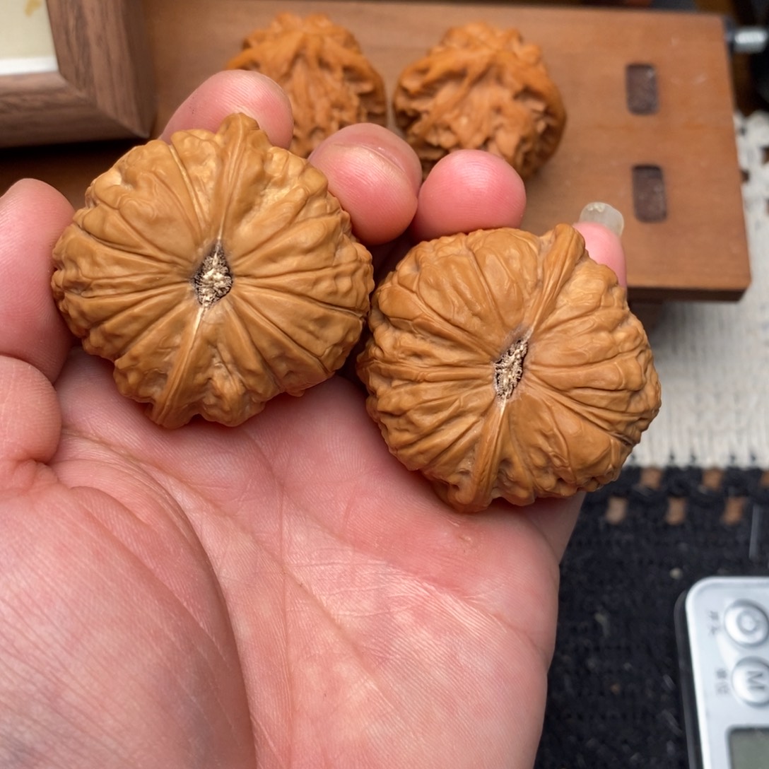 文玩核桃吊坠南瓜墩43