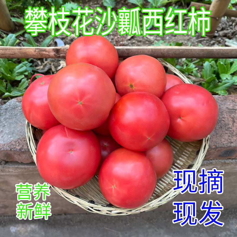 【厨师甄选】攀枝花露天沙瓤西红柿手撕开带沙生吃炒菜煲汤带箱5斤