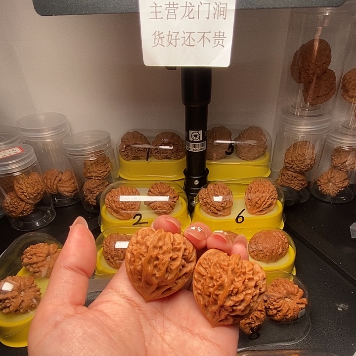 羿***.40高尖三角龙门涧       