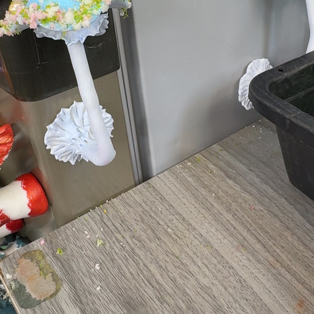 树脂制品38号噢噢噢噢