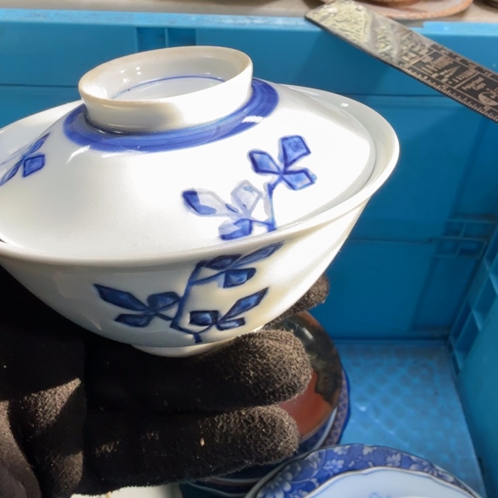 瓷片开播啦…开播啦！