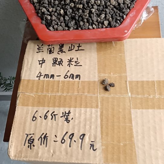 彭***晏兰菌黑山土中颗粒6.6斤