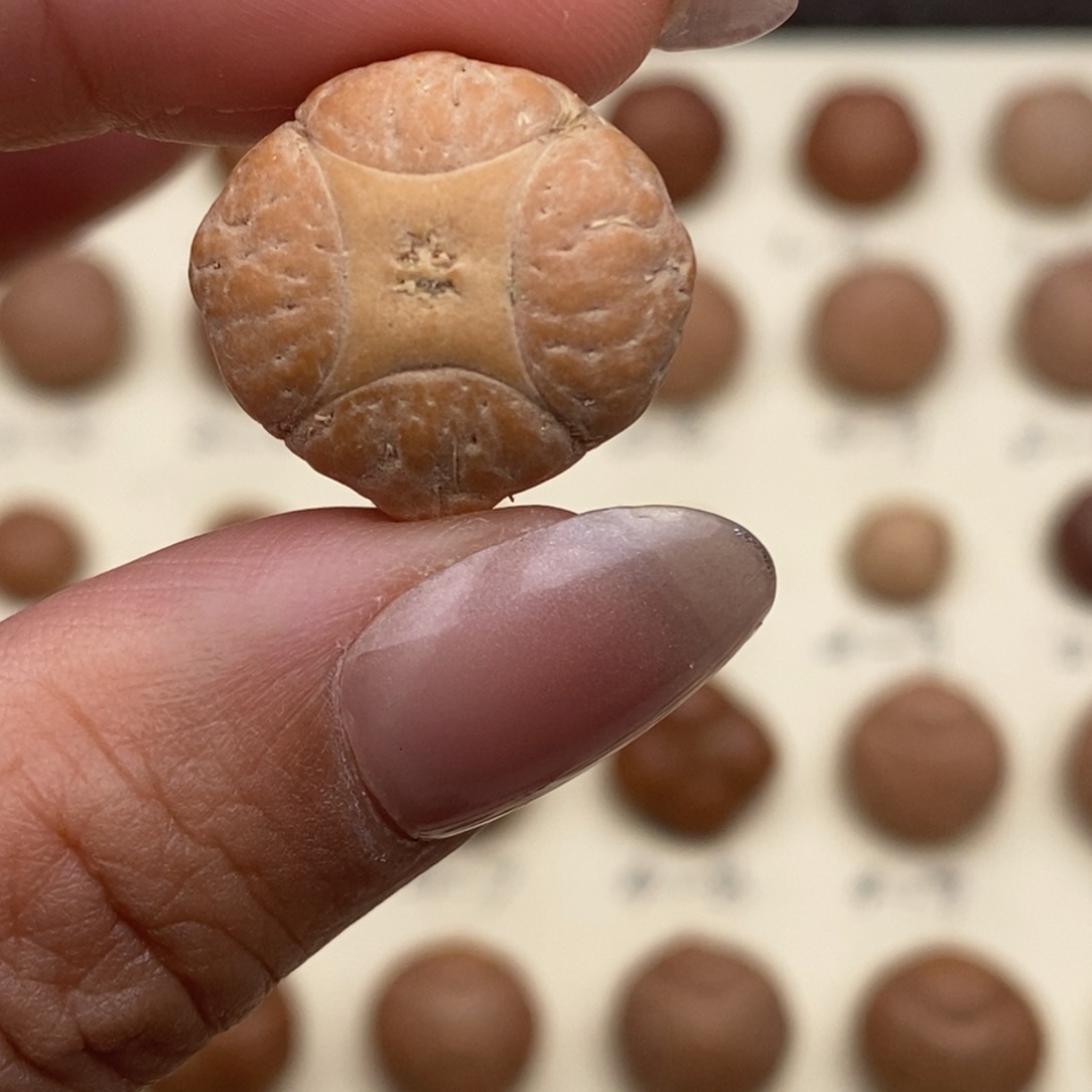 凤眼菩提吊坠麒麟