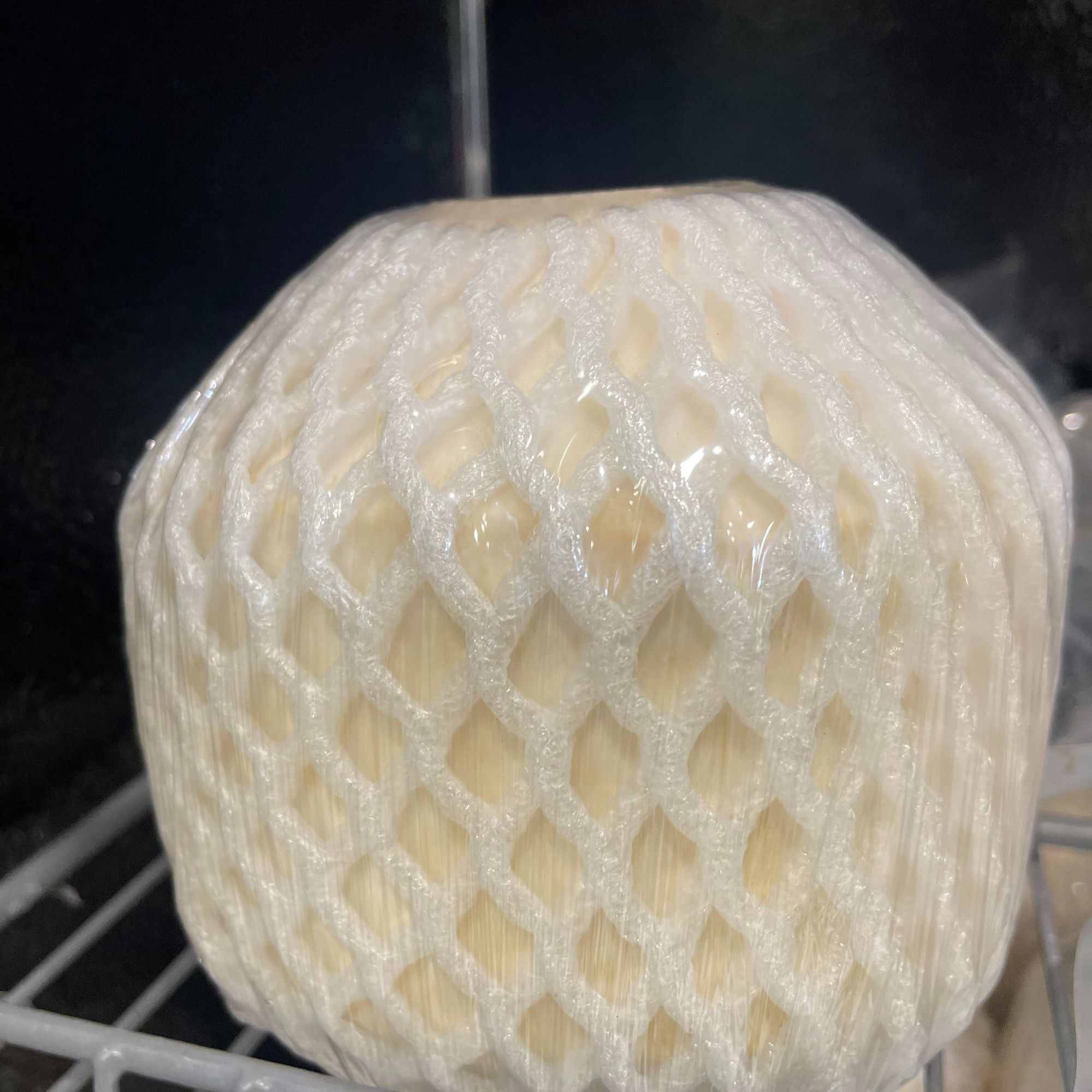 精品椰青子500g/2个