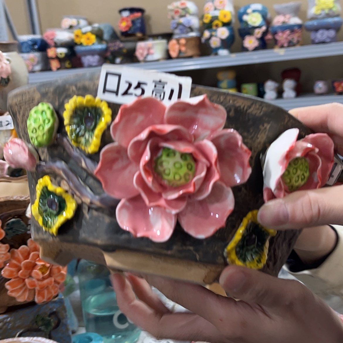 【闪购商品】红陶福利