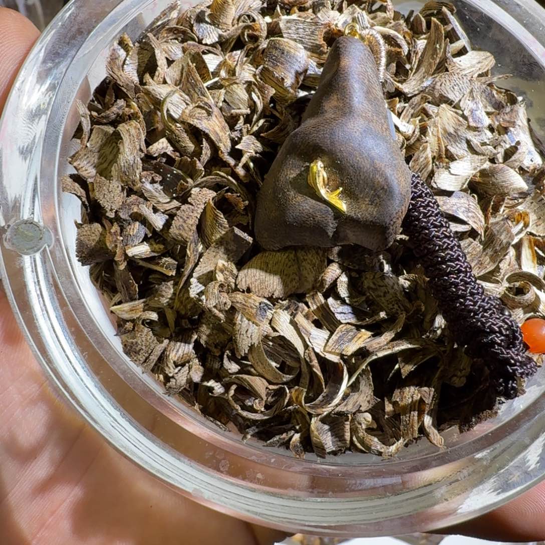 启***凡奇楠沉香小吊坠。。