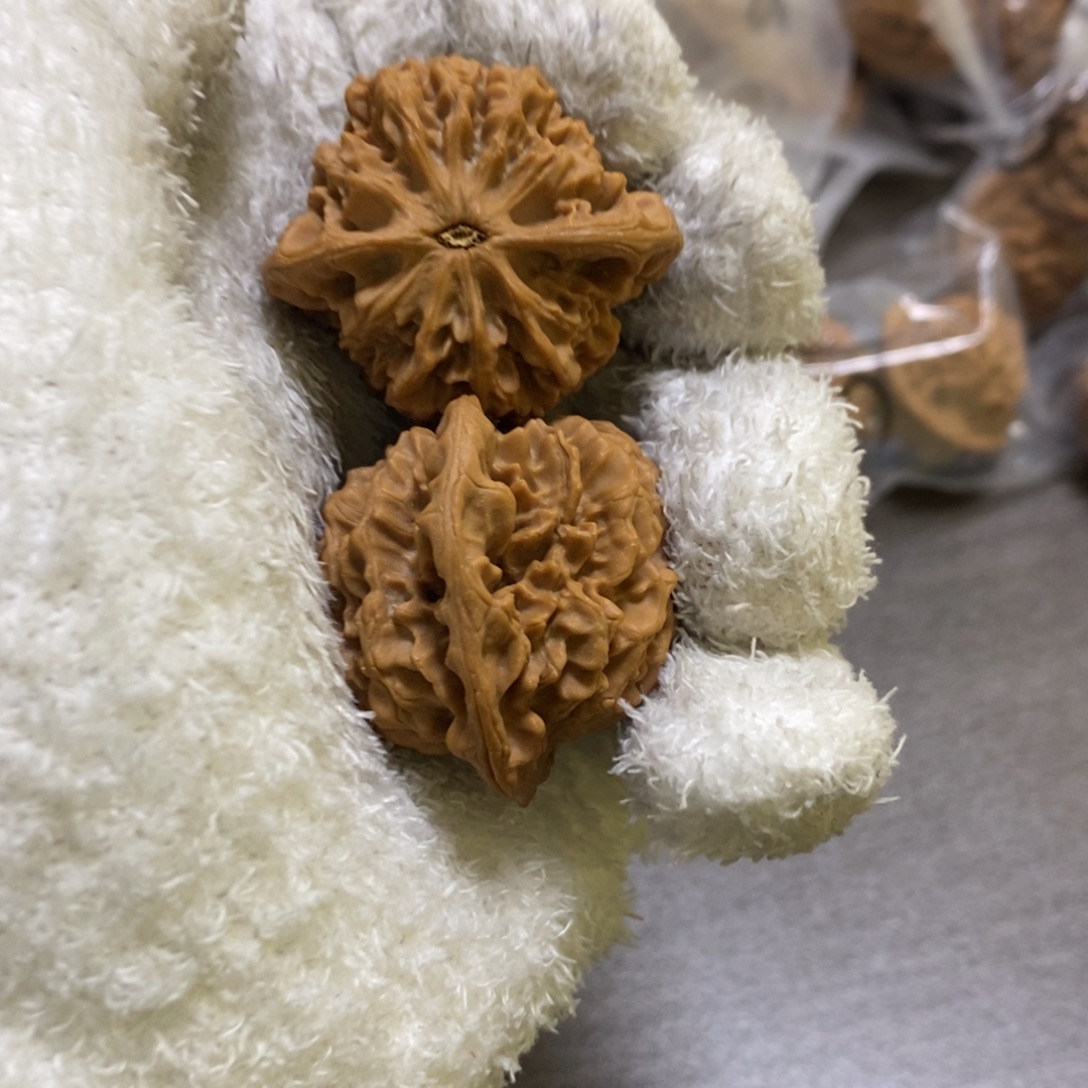 秦岭山脉核桃秦闷