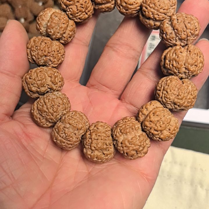 ****金刚菩提手串五星梅花大金刚手串，22左右尺寸，原皮原色