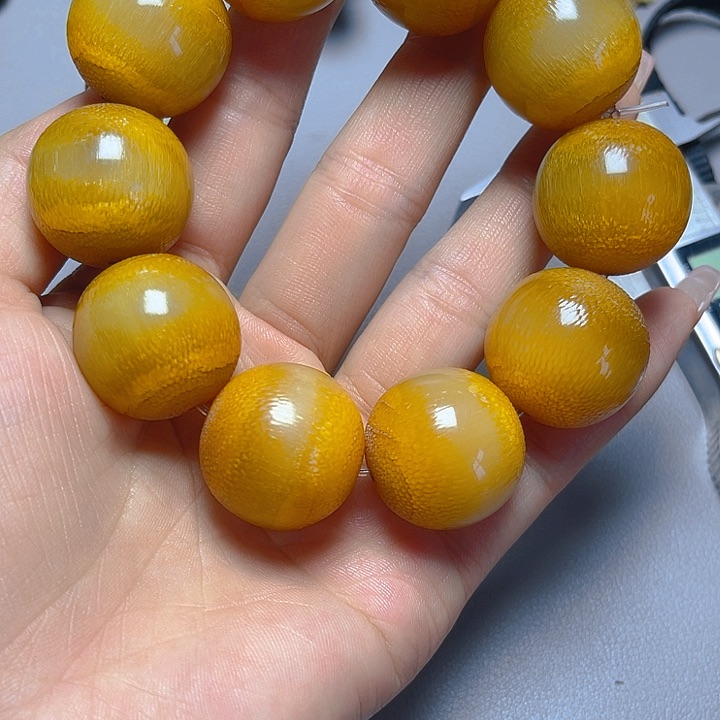 大果紫檀（缅甸花梨）