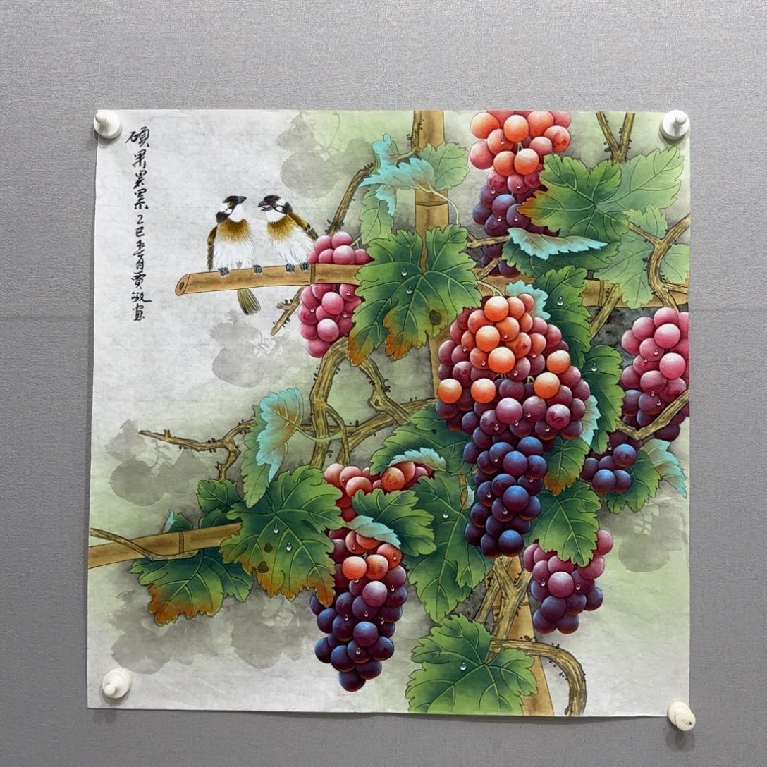 国画用****0工笔葡萄斗方四尺
