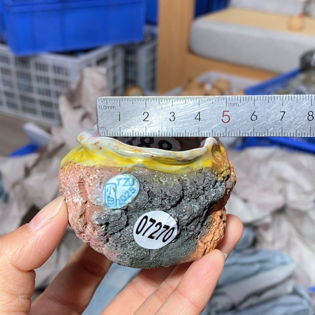 花盆拍3送一个小礼物