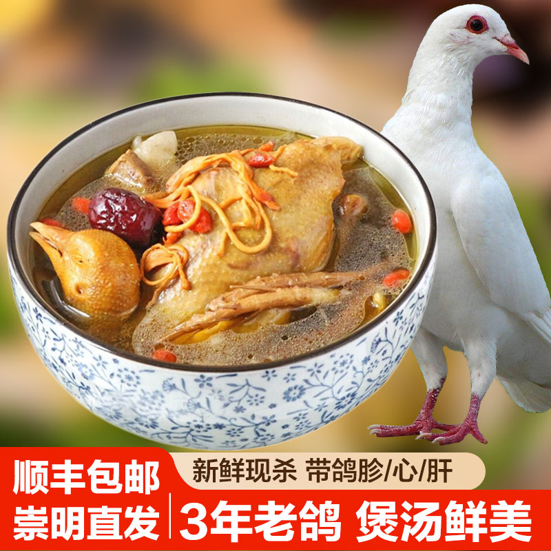 [顺丰]崇明岛现杀3年以上老鸽子400g*2只 含心肝珍 冰鲜老鸽