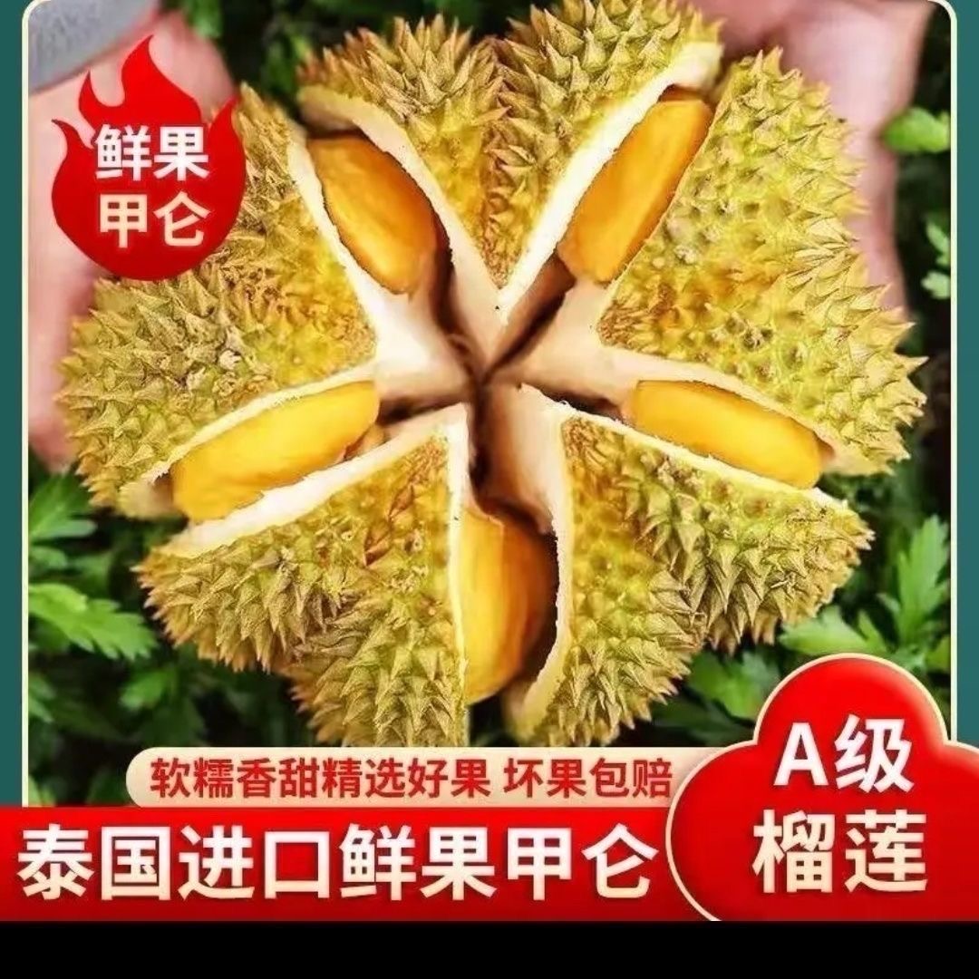 【一物一拍】泰国进口甲仑榴莲新鲜应季水果整颗带壳树熟榴莲TT