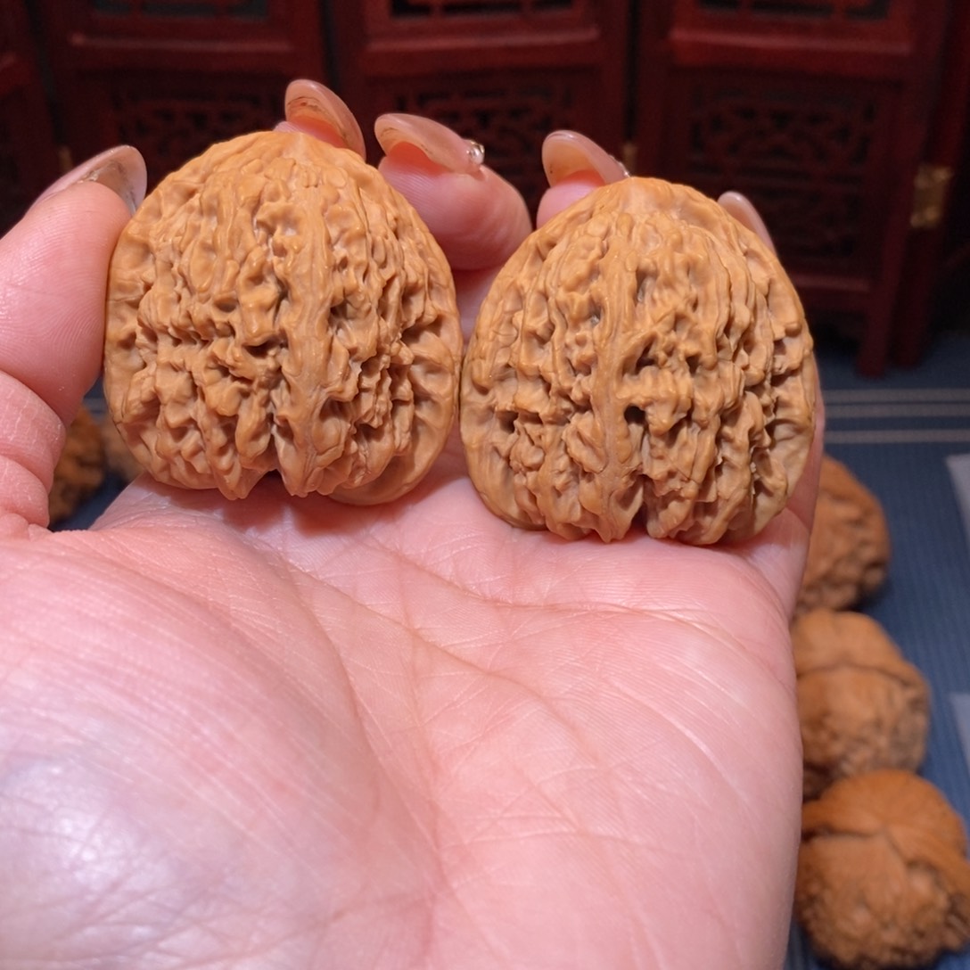 40.5全品高炮南疆石涿鹿毕业