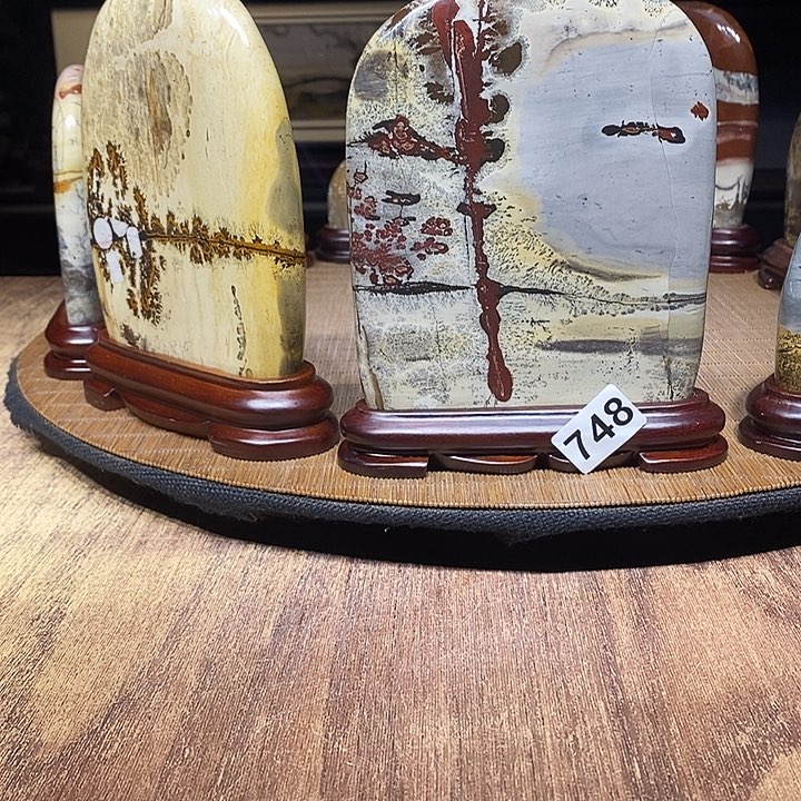 阿***健香榧木广西柳州国画石