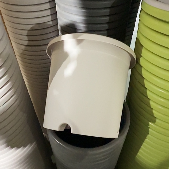 四季4号灰白无托10个口25