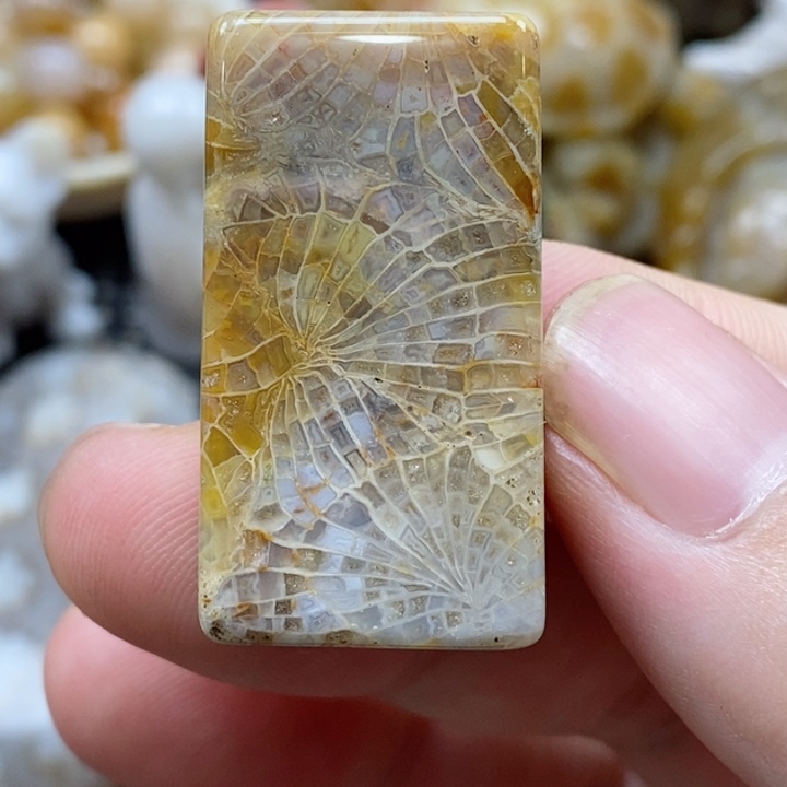 硅化珊瑚（珊瑚玉）颈饰未镶嵌小吊坠