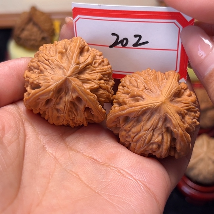 H***—文玩核桃吊坠37.5御龙奔福利款202