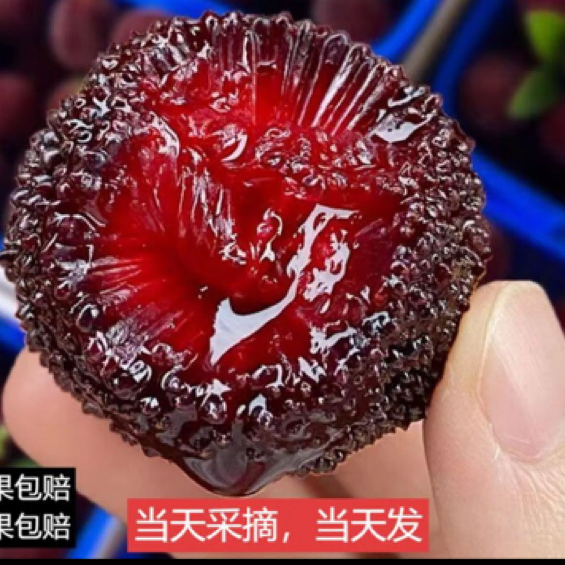 金灶高山老树硬丝杨梅1000g广东省