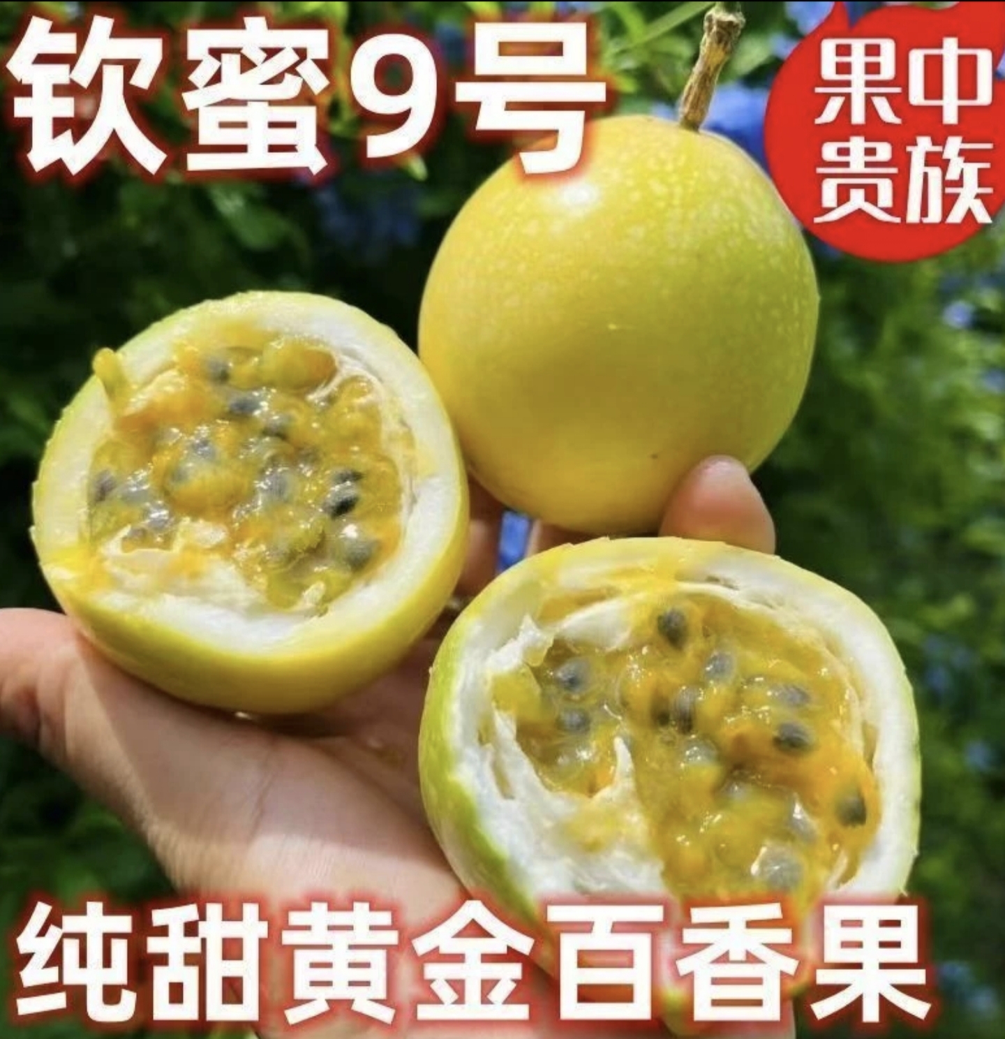 广西钦蜜9号百香果带箱5斤现摘酸甜多汁当季新鲜当季水果厂地直发