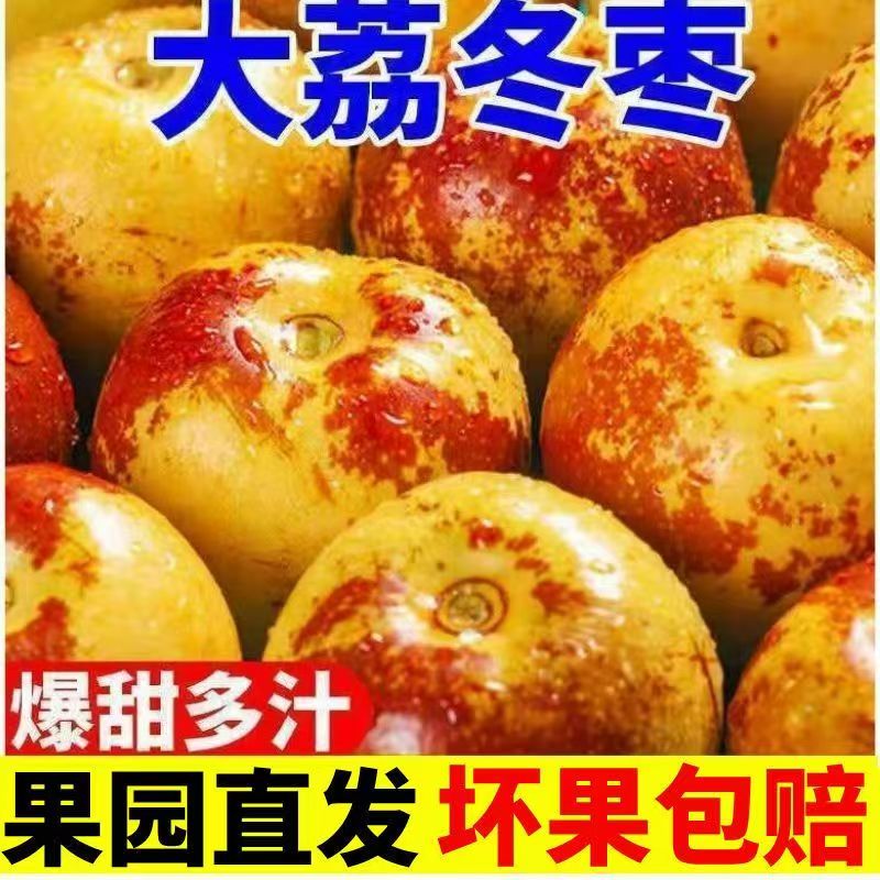 【果园现摘】陕西大荔冬枣脆甜好吃新鲜水果冬枣鲜枣子包邮坏果包赔