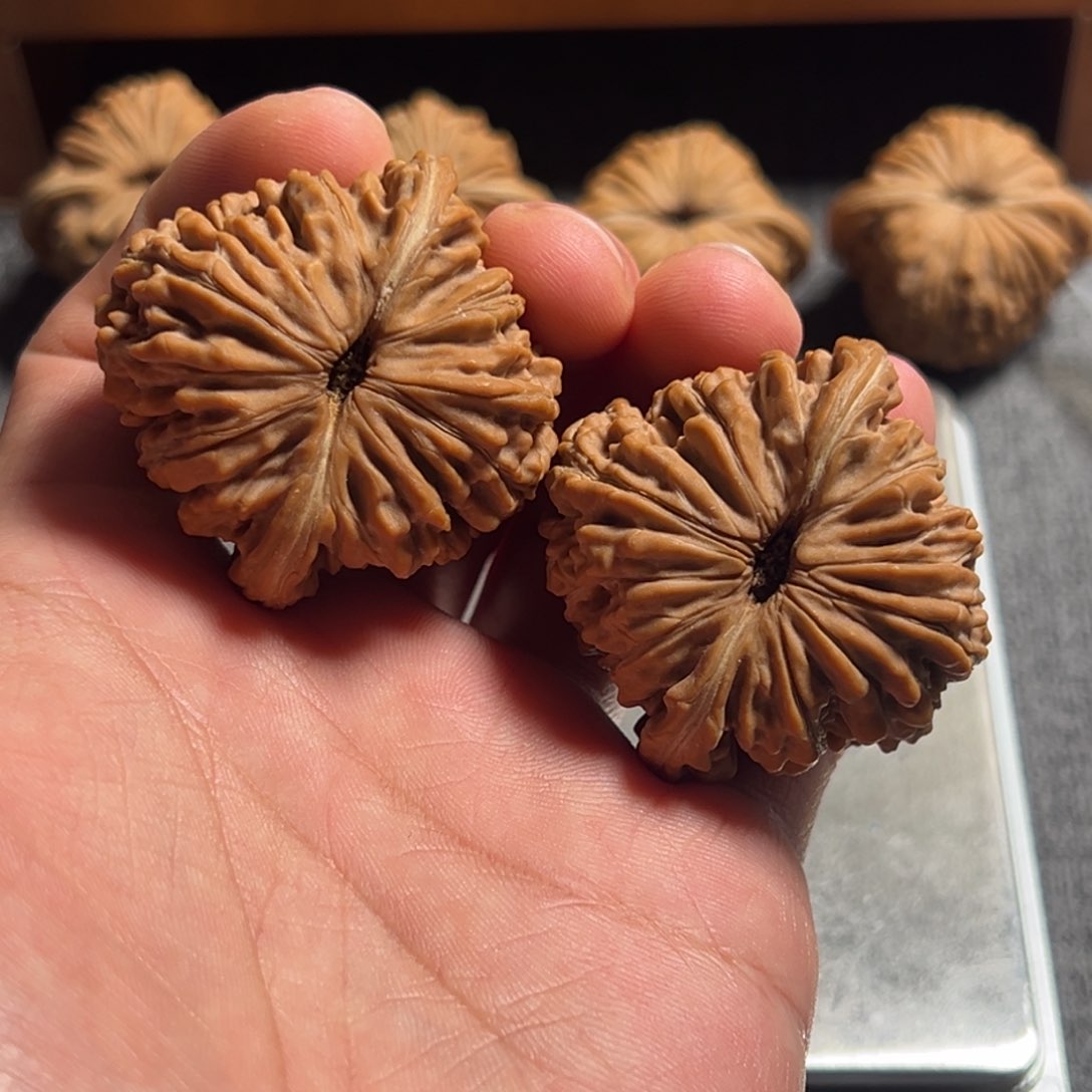 文玩核桃把件“42汉高