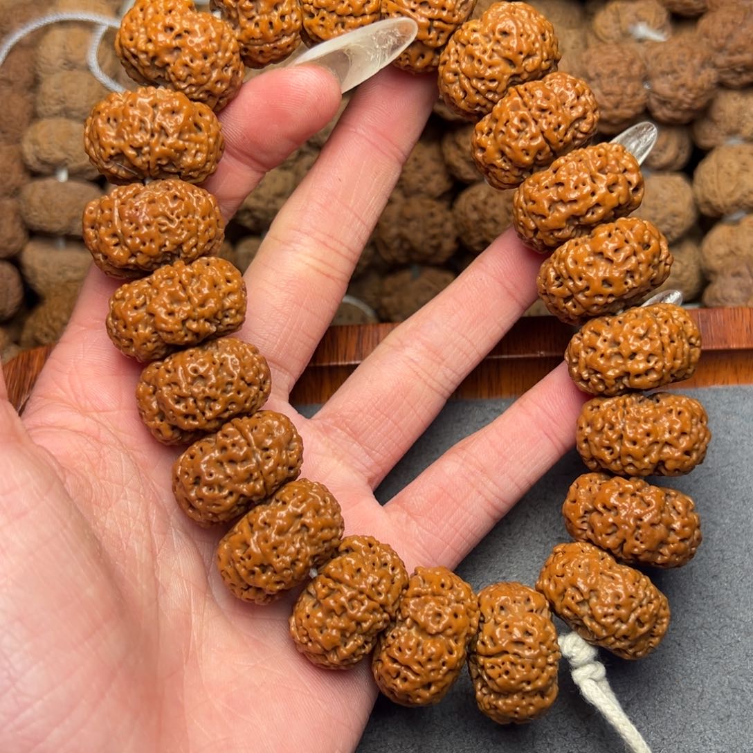 菩提15号尼泊尔大金刚23夹板菠萝蜜梁