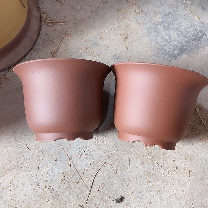 20×15两只福利价京中    