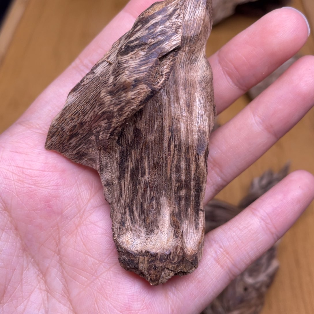 9克海南尖峰扭结香