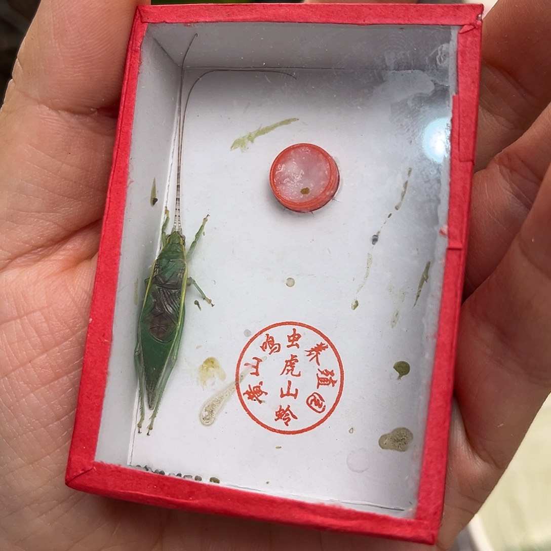 全品金钟1条哈哈哈
