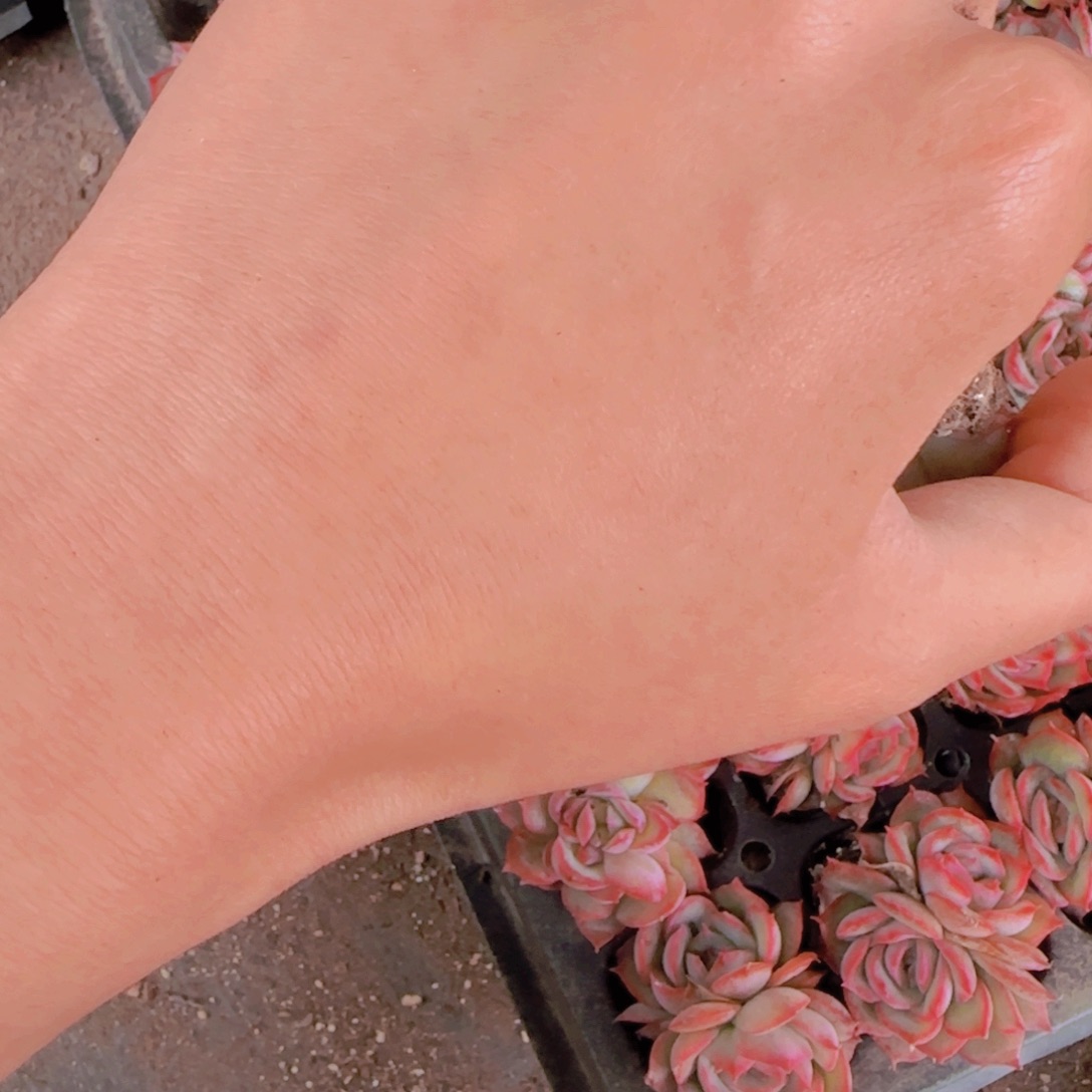 琥珀冰玉60颗一组多肉