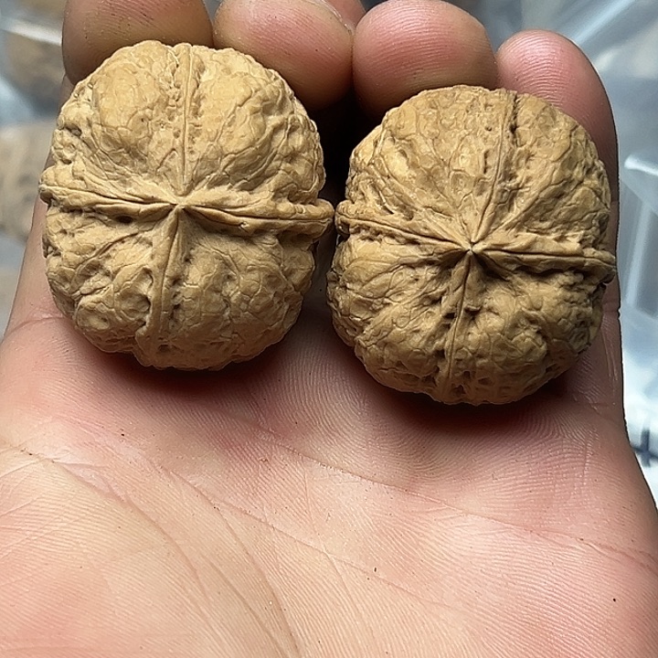 文玩核桃把件17号龙爪四楞