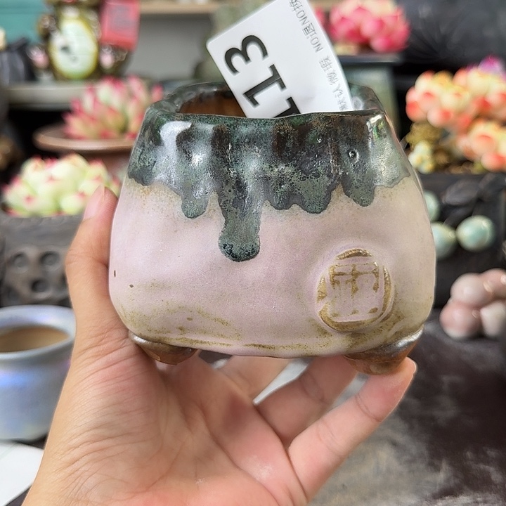 重庆小燕子欢迎大家113