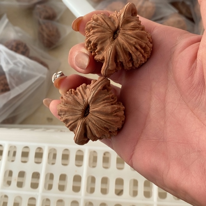 Ω**Ω四座楼四座楼四座楼