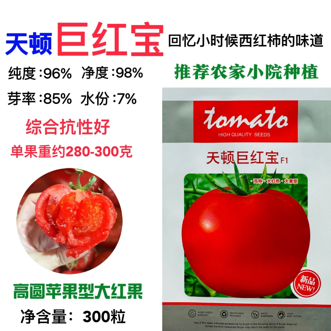 天顿巨红宝早中熟高秧大红果番茄种子高圆苹果形适合农家小院种植
