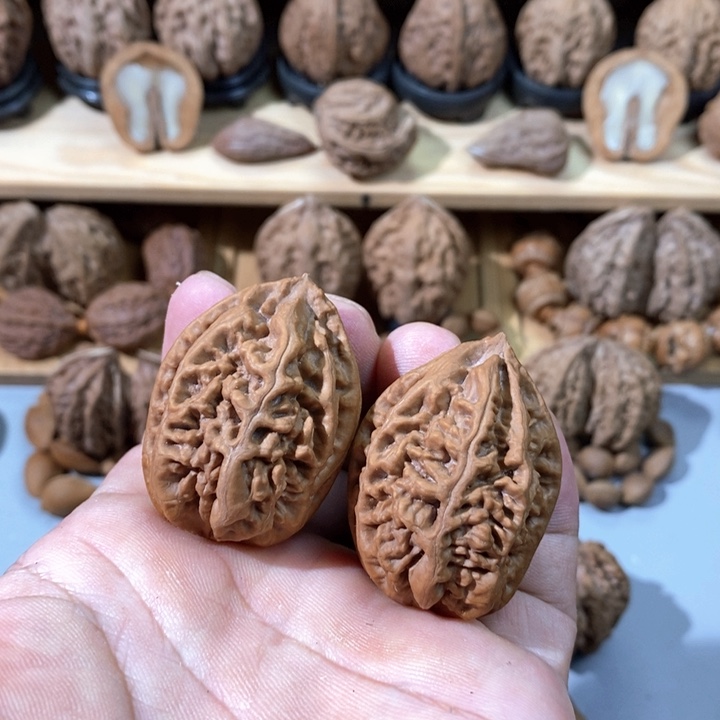 文玩核桃把件老珊瑚