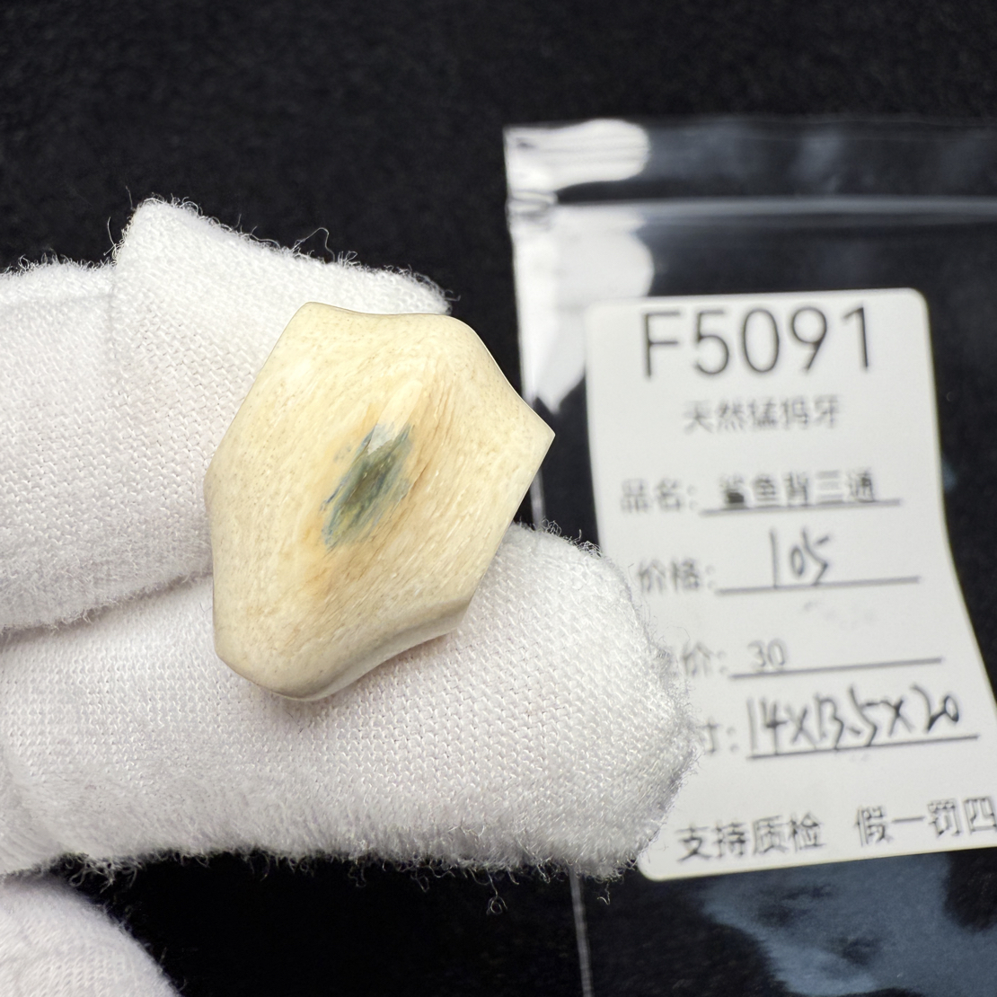 F5091猛犸象牙鲨鱼背蓝皮一体三通冰料果冻料14*13.5*20mm