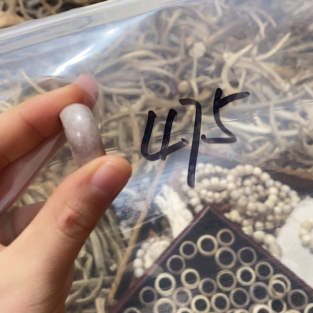 大***子非金属鹿角鹿鹿角