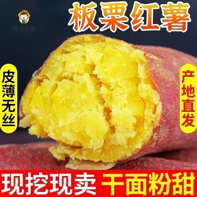 正宗新鲜板栗黄心红薯沙地蜜薯番薯农家地瓜山芋香甜现挖批发
