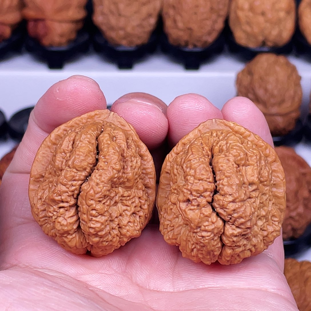 吊坠文玩核桃临沧古蟾王44+尺不退不换