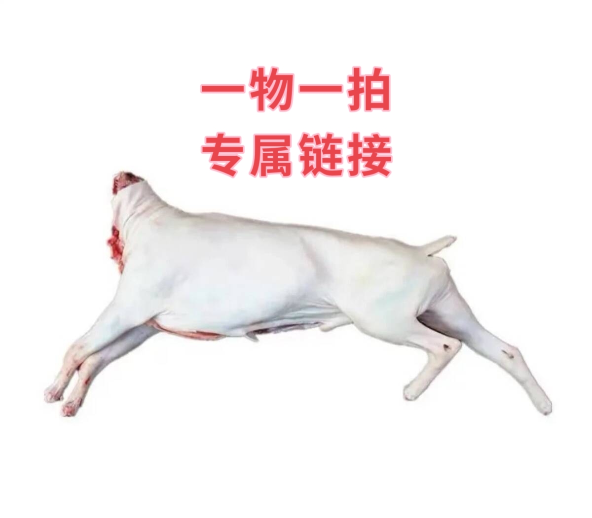 一物一拍专属链接-现场称重改价（顺丰-48小时内发货）